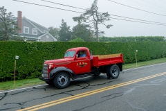 ND43035-NEF_DxO_DeepPRIME-Edit
