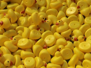 07-04-04 float ducks             